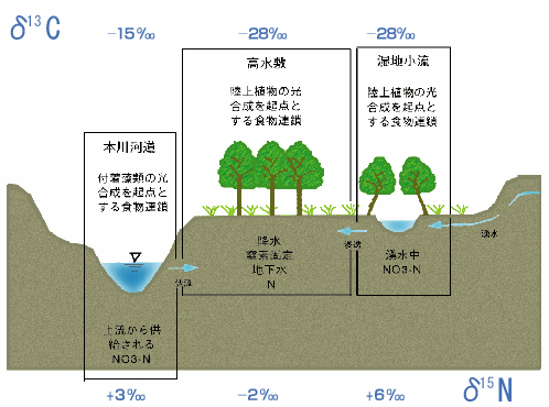 物質循環とエネルギーの流れ図