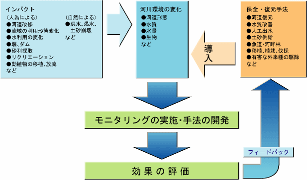 導入と評価