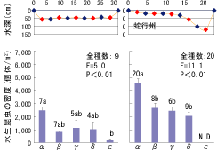 水生昆虫の密度