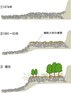 永田地区の変化