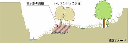 礫河原の再生